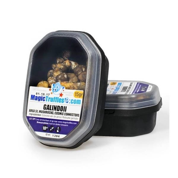 import placeholder for 485